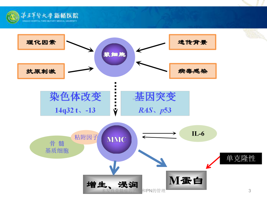 多发性骨髓瘤的治疗和PN的管理培训课件.ppt_第3页