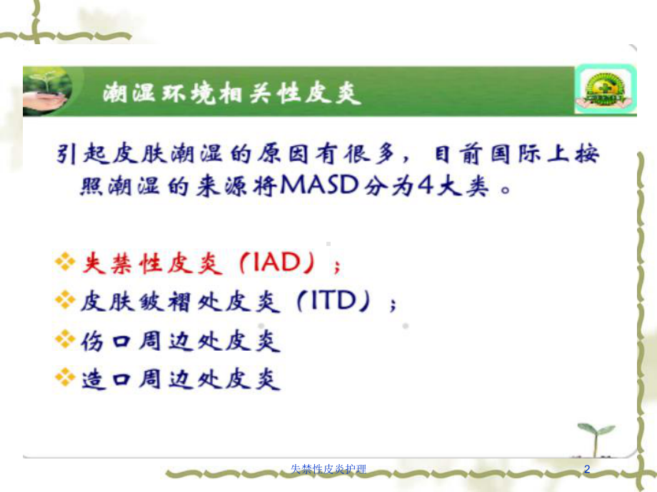 失禁性皮炎护理培训课件.ppt_第2页