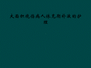 大面积烧伤病人休克期补液的护理课件.ppt