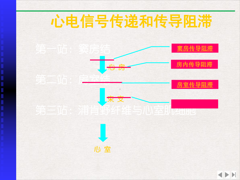 传导阻滞总论和房室传导阻滞课件-2.ppt_第3页