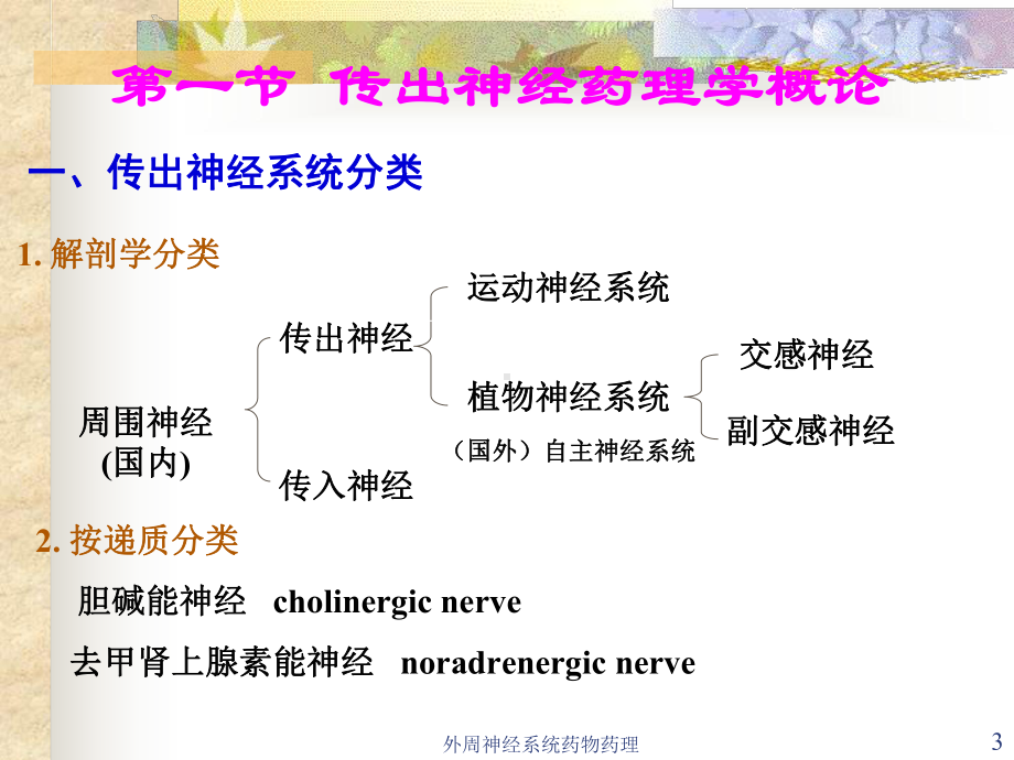 外周神经系统药物药理课件.ppt_第3页