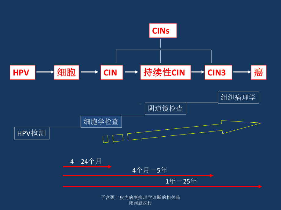 子宫颈上皮内病变病理学诊断的相关临床问题探讨课件.ppt_第2页