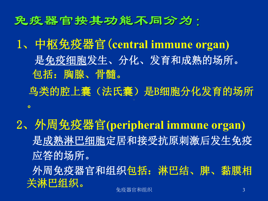 免疫器官和组织培训课件.ppt_第3页