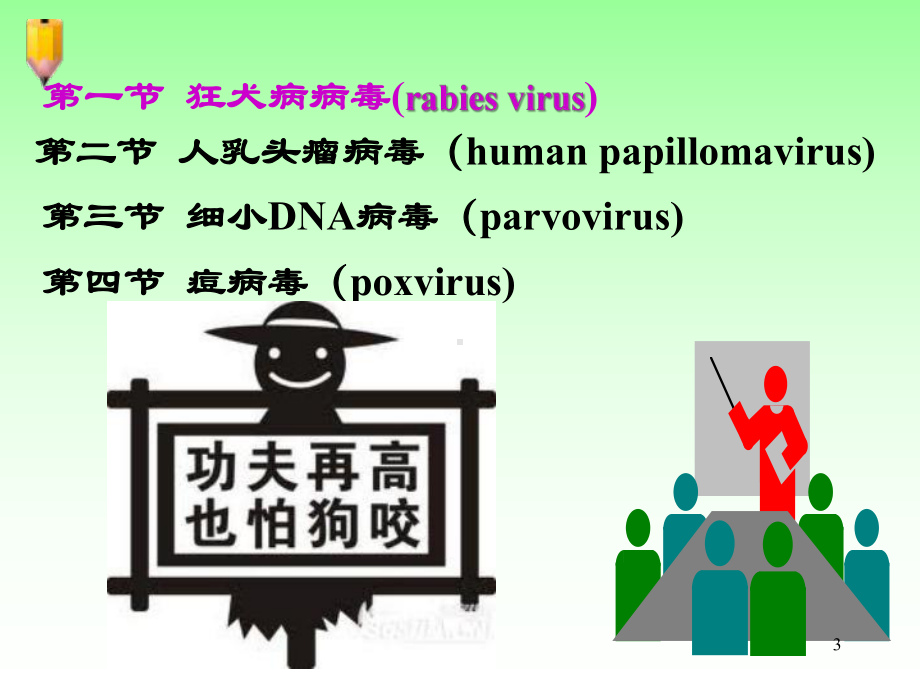 医学微生物学狂犬病毒等其他病毒课件.ppt_第3页