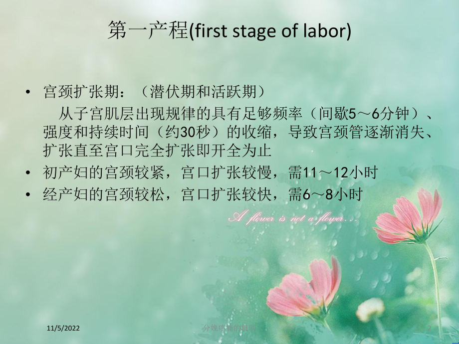 分娩疼痛的机制培训课件.ppt_第2页