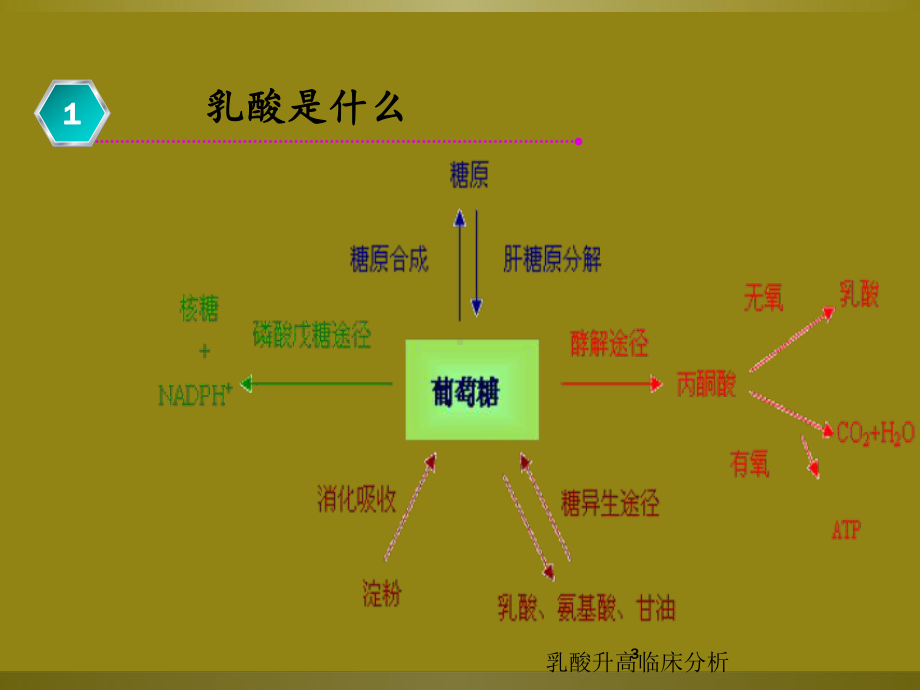 乳酸升高临床分析培训课件.ppt_第3页