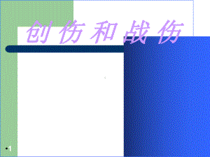 创伤和战伤学习课件.ppt