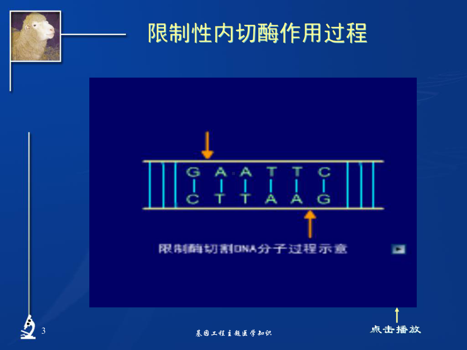 基因工程主题医学知识培训课件.ppt_第3页