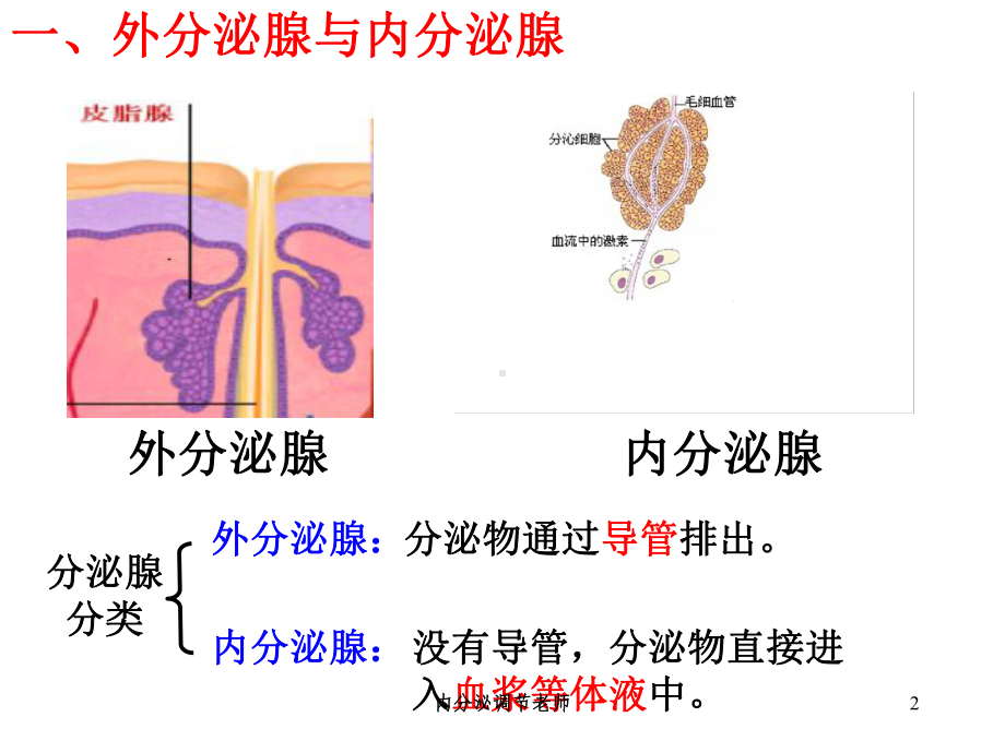 内分泌调节老师培训课件.ppt_第2页