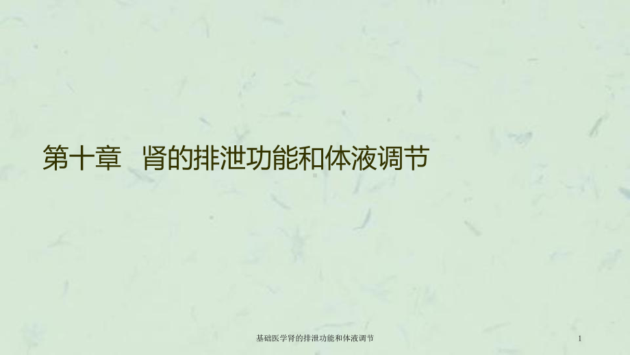 基础医学肾的排泄功能和体液调节课件.ppt_第1页