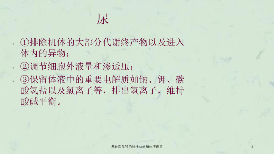 基础医学肾的排泄功能和体液调节课件.ppt_第3页