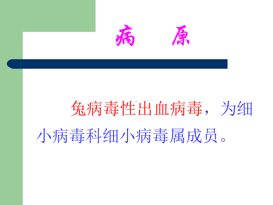 兔病毒性出血症课件-2.ppt_第3页