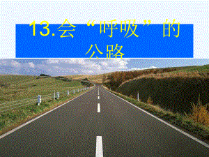 会“呼吸”的公路课件.ppt