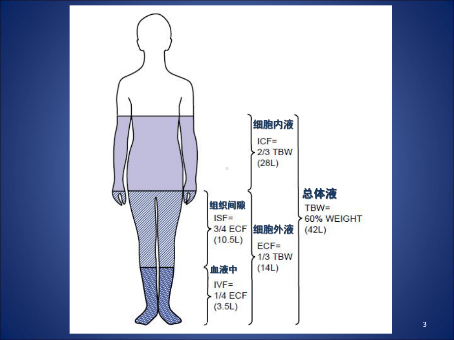 低钠血症诊疗课件.ppt_第3页