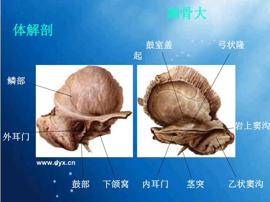 医学课件-颞骨断层解剖及CT三维重建课件.ppt_第3页