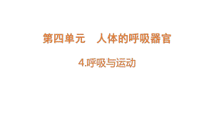 4.4 呼吸与运动 ppt课件-2022新大象版四年级上册《科学》.pptx