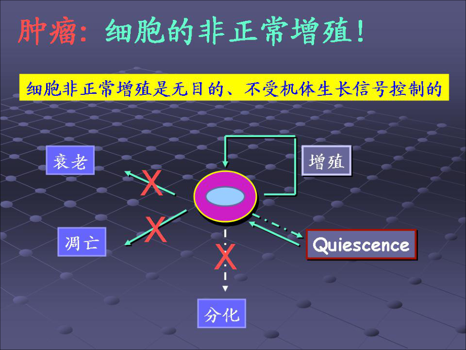 分子肿瘤学医学知识宣教培训课件.ppt_第3页