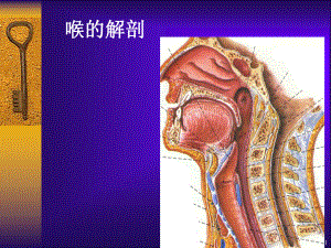 喉部的CT解剖课件-2.ppt