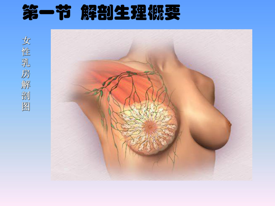 外科学多媒体课件-乳腺疾病.ppt_第3页