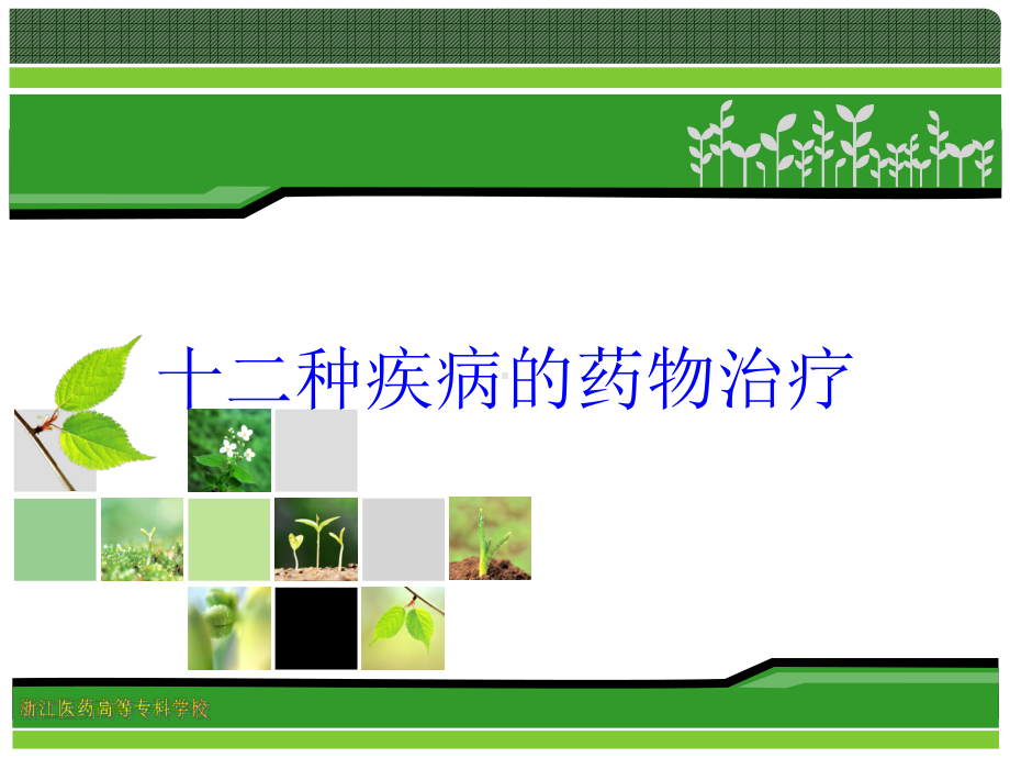 十二种疾病的药物治疗培训课件.ppt_第1页