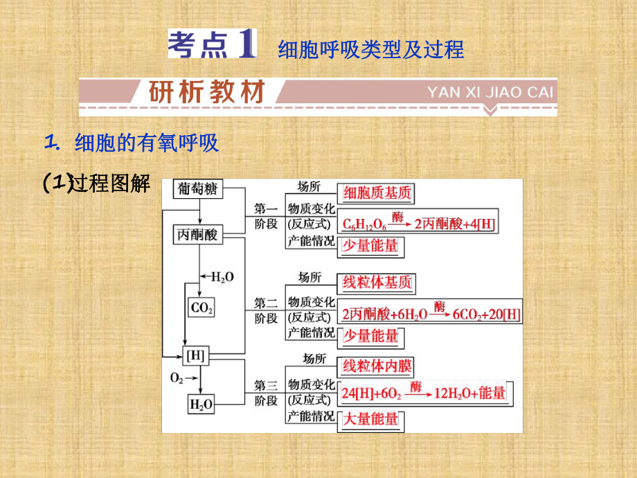 全国高考生物大一轮复习第三单元细胞的能量供应和利用第9讲ATP的主要来源细胞呼吸名师精编课件.ppt_第3页