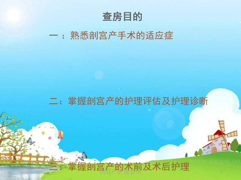 剖宫产护理查房培训课件.ppt_第2页