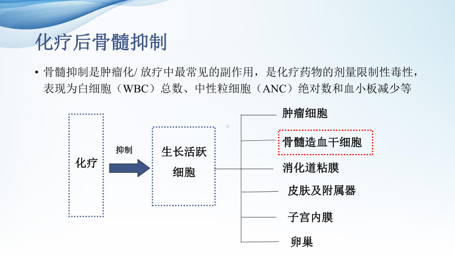 医学化疗后骨髓抑制课件.ppt_第3页