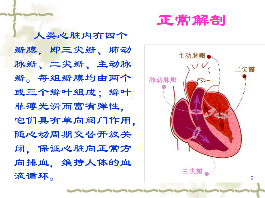 主动脉瓣置换术后的护理医学课件.ppt_第2页