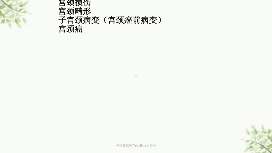 子宫颈病变的诊断与治疗定课件.pptx_第2页