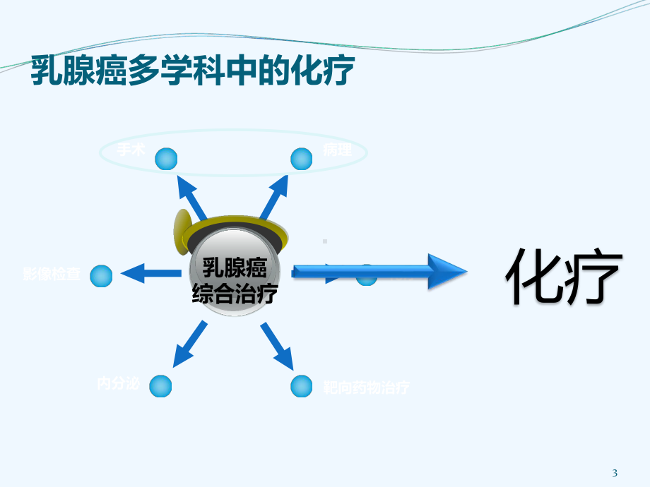 乳腺癌化疗方案及注意事项课件.ppt_第3页