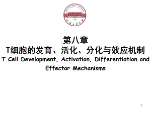 免疫学T细胞发育活化分化与效应机制课件.ppt