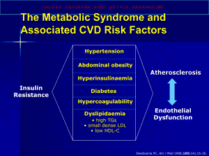 代谢综合征临床诊断和治疗培训课件.ppt