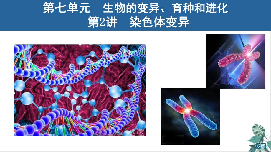 人教生物教材《染色体变异》公开课课件.ppt_第1页