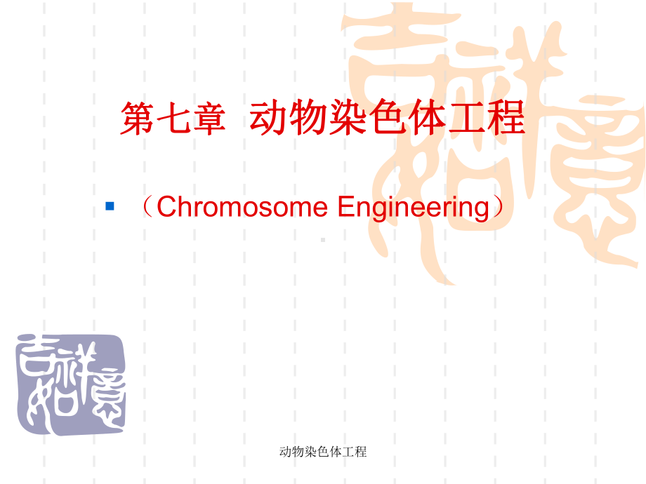 动物染色体工程课件.ppt_第1页