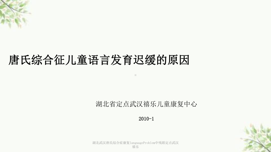 唐氏综合症康复languageProblem中残联定点课件.pptx_第1页