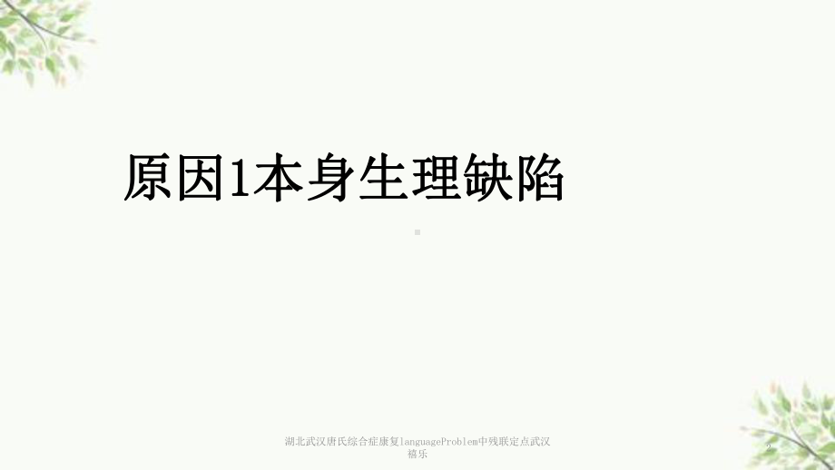 唐氏综合症康复languageProblem中残联定点课件.pptx_第2页