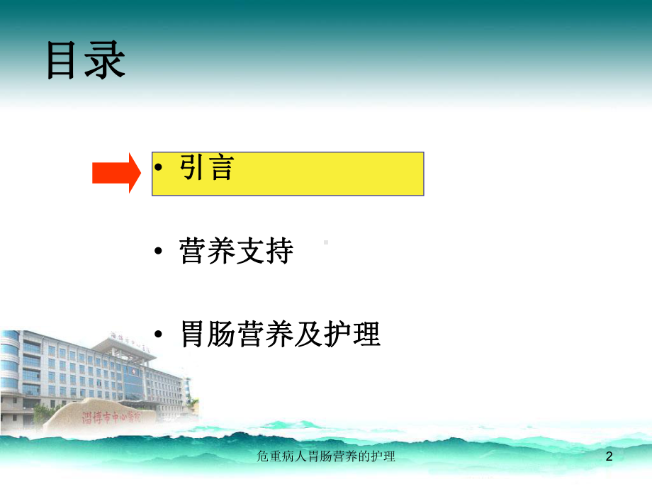 危重病人胃肠营养的护理课件.ppt_第2页