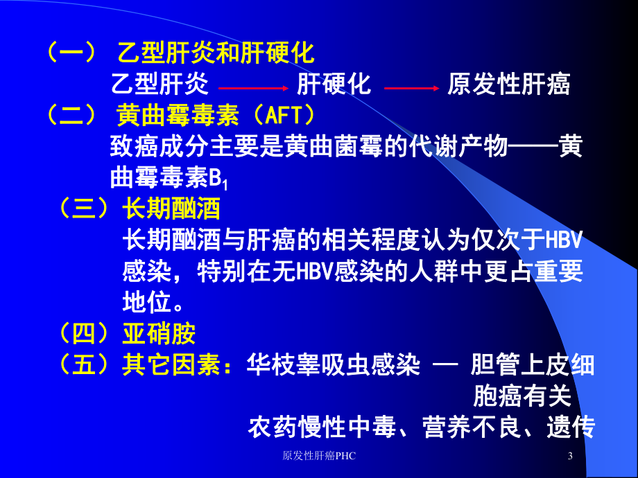 原发性肝癌PHC培训课件.ppt_第3页