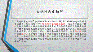 大疱性表皮松解症医疗护理课件.ppt