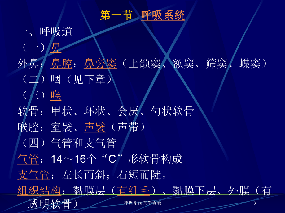 呼吸系统医学宣教培训课件.ppt_第3页