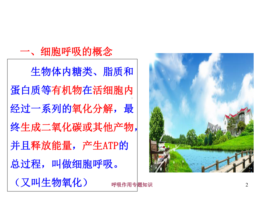 呼吸作用专题知识培训课件.ppt_第2页