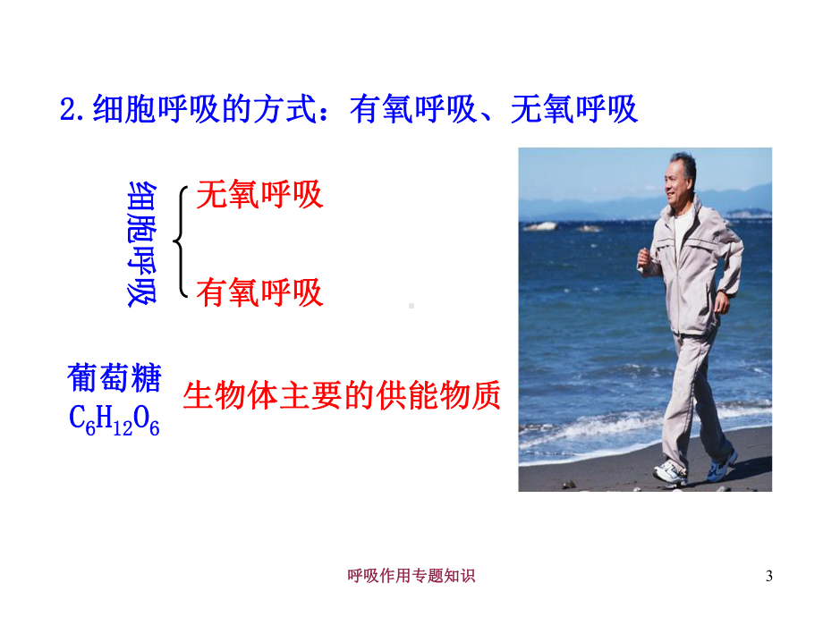 呼吸作用专题知识培训课件.ppt_第3页