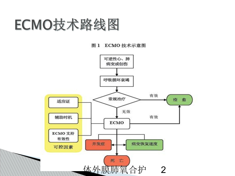 体外膜肺氧合护理要点培训课件.ppt_第2页