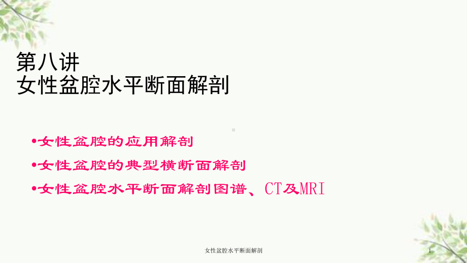 女性盆腔水平断面解剖课件.ppt_第1页