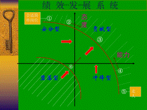 医疗行业企业绩效管理系统研究课件.ppt