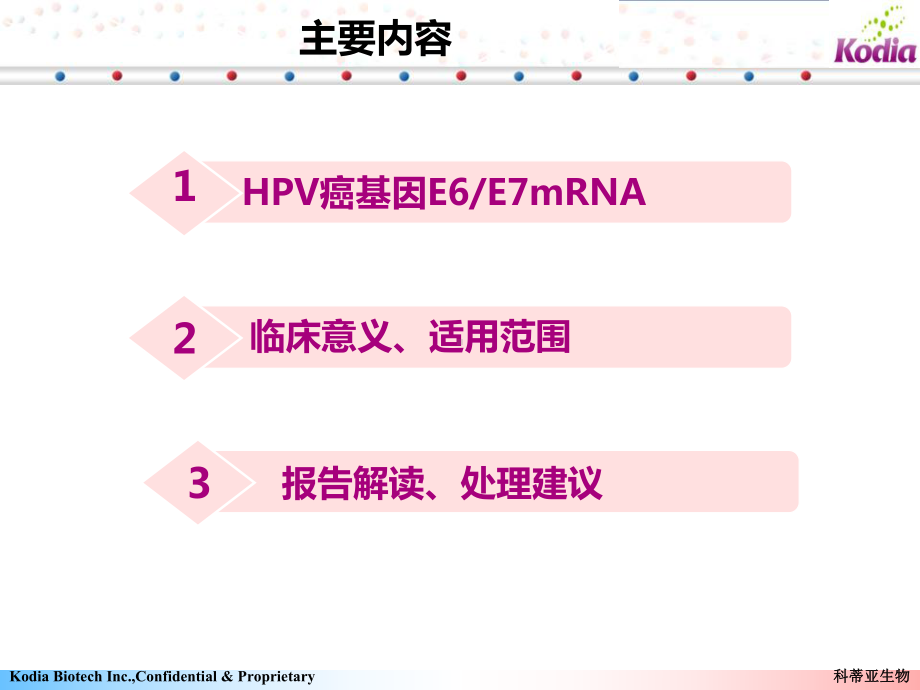 宫颈癌基因EEmRNA课件.ppt_第2页