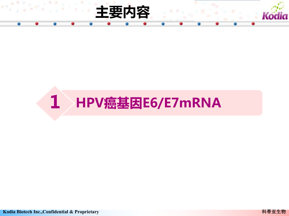 宫颈癌基因EEmRNA课件.ppt_第3页