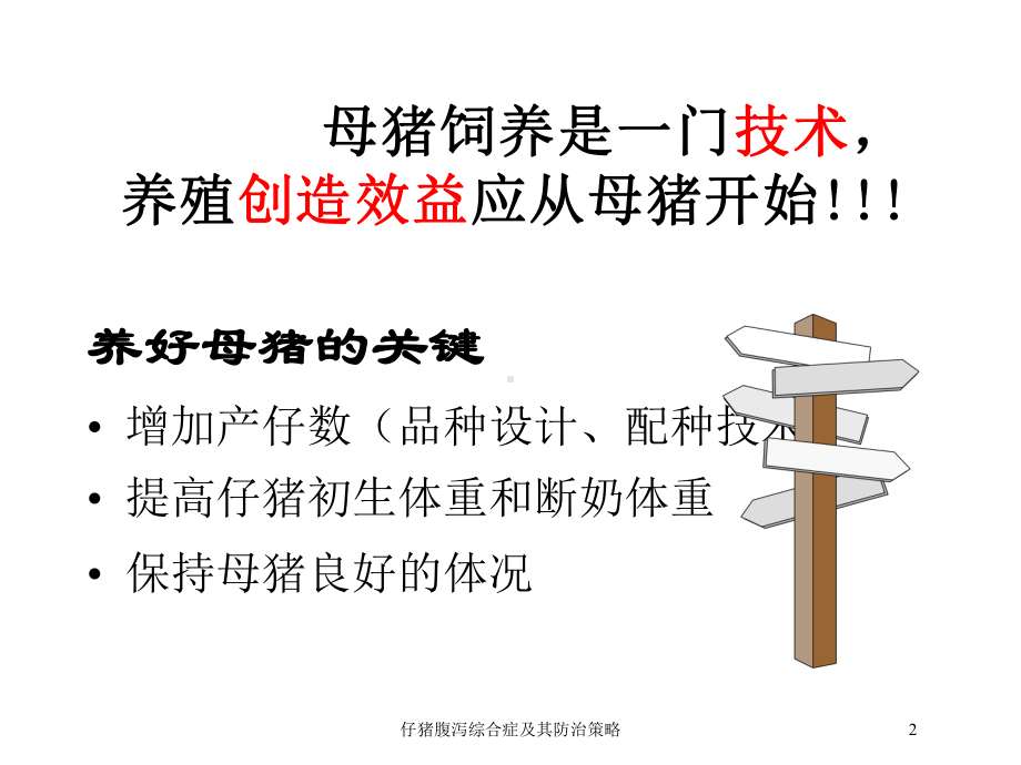 仔猪腹泻综合症及其防治策略培训课件.ppt_第2页