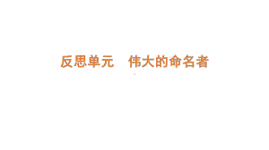 反思单元 伟大的命名者ppt课件-2022新大象版四年级上册《科学》.pptx