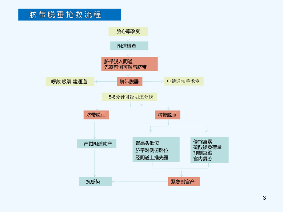 产科急危重症急救流程全解课件.ppt_第3页